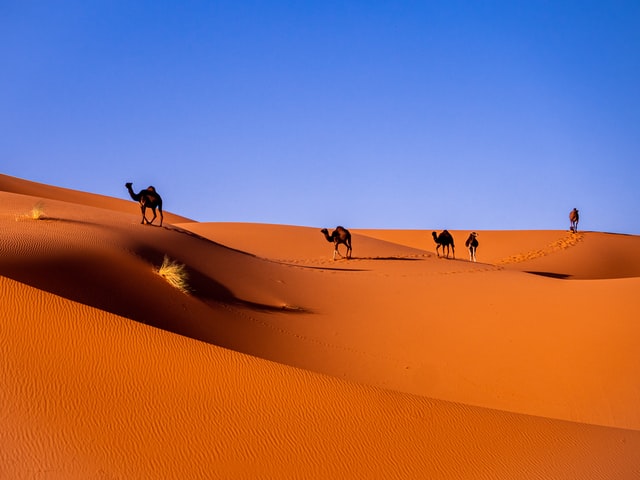 merzouga desert sahara maroc